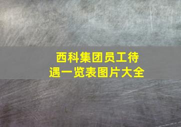 西科集团员工待遇一览表图片大全