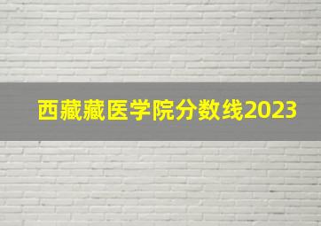 西藏藏医学院分数线2023