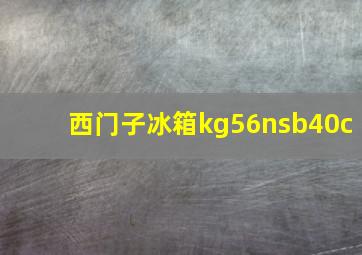 西门子冰箱kg56nsb40c