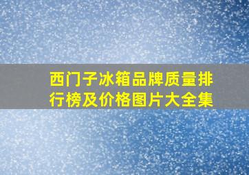 西门子冰箱品牌质量排行榜及价格图片大全集