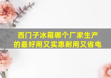 西门子冰箱哪个厂家生产的最好用又实惠耐用又省电