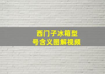 西门子冰箱型号含义图解视频