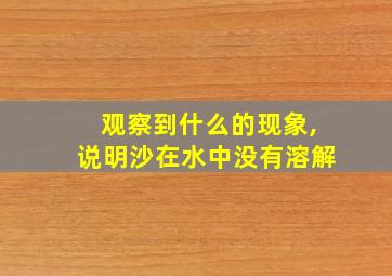 观察到什么的现象,说明沙在水中没有溶解