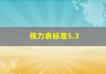 视力表标准5.3