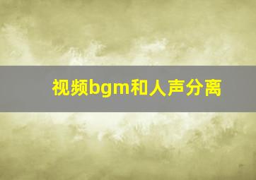 视频bgm和人声分离