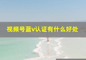 视频号蓝v认证有什么好处