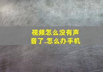 视频怎么没有声音了.怎么办手机