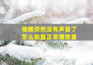 视频突然没有声音了怎么恢复正常播放量