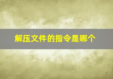 解压文件的指令是哪个