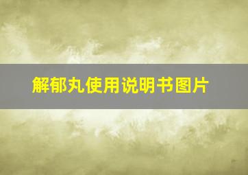 解郁丸使用说明书图片