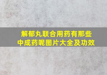 解郁丸联合用药有那些中成药呢图片大全及功效