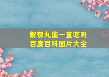 解郁丸能一直吃吗百度百科图片大全