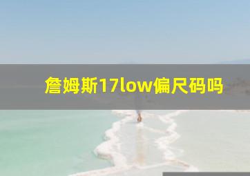 詹姆斯17low偏尺码吗