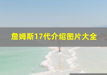 詹姆斯17代介绍图片大全