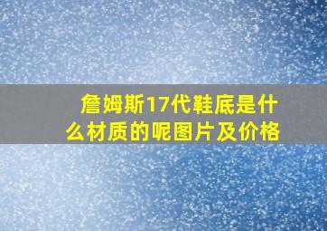 詹姆斯17代鞋底是什么材质的呢图片及价格