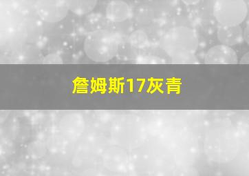 詹姆斯17灰青