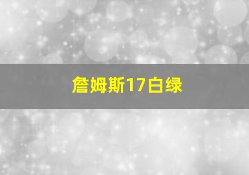 詹姆斯17白绿