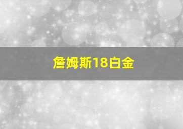 詹姆斯18白金