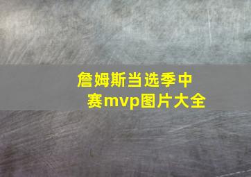 詹姆斯当选季中赛mvp图片大全