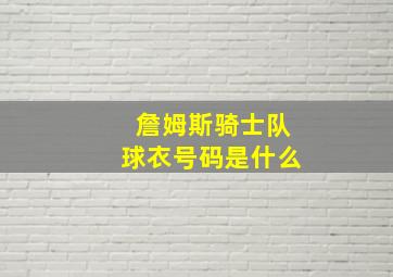 詹姆斯骑士队球衣号码是什么