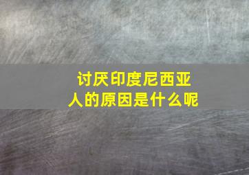 讨厌印度尼西亚人的原因是什么呢