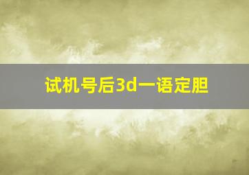 试机号后3d一语定胆