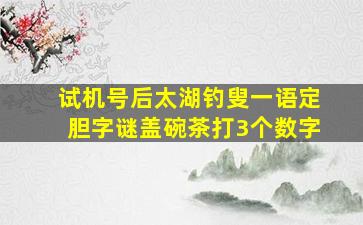 试机号后太湖钓叟一语定胆字谜盖碗茶打3个数字