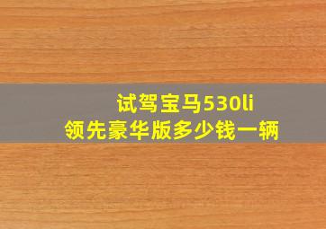 试驾宝马530li领先豪华版多少钱一辆