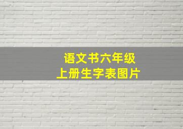 语文书六年级上册生字表图片