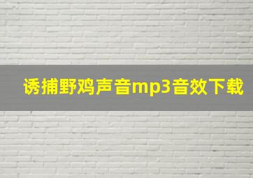 诱捕野鸡声音mp3音效下载