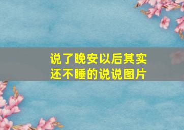 说了晚安以后其实还不睡的说说图片