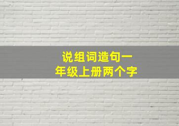 说组词造句一年级上册两个字