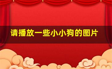 请播放一些小小狗的图片