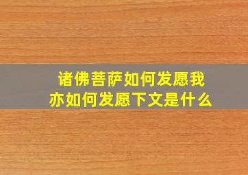 诸佛菩萨如何发愿我亦如何发愿下文是什么