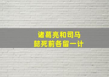 诸葛亮和司马懿死前各留一计