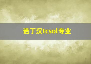 诺丁汉tcsol专业