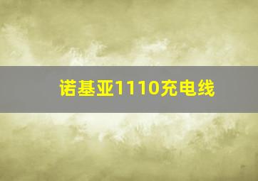 诺基亚1110充电线