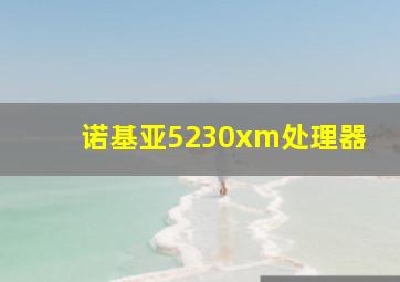 诺基亚5230xm处理器