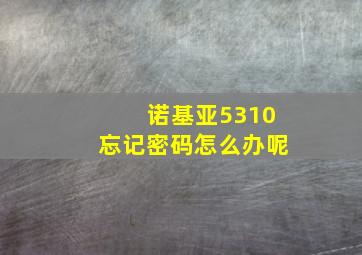 诺基亚5310忘记密码怎么办呢