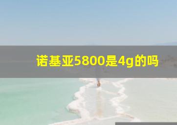 诺基亚5800是4g的吗