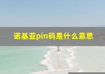 诺基亚pin码是什么意思