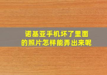 诺基亚手机坏了里面的照片怎样能弄出来呢