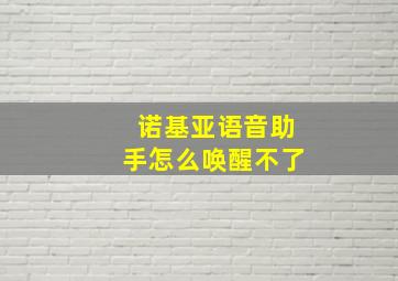 诺基亚语音助手怎么唤醒不了