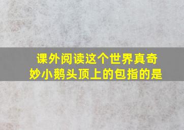 课外阅读这个世界真奇妙小鹅头顶上的包指的是