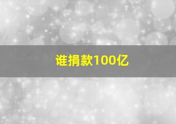 谁捐款100亿