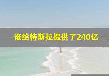 谁给特斯拉提供了240亿