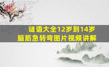 谜语大全12岁到14岁脑筋急转弯图片视频讲解