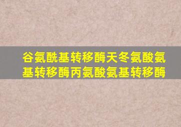 谷氨酰基转移酶天冬氨酸氨基转移酶丙氨酸氨基转移酶