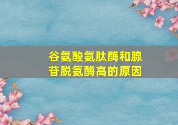 谷氨酸氨肽酶和腺苷脱氨酶高的原因