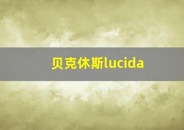 贝克休斯lucida